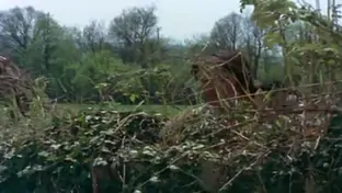 Vicieuse amandine 1976