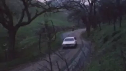 Rhinestone cowgirls 1982